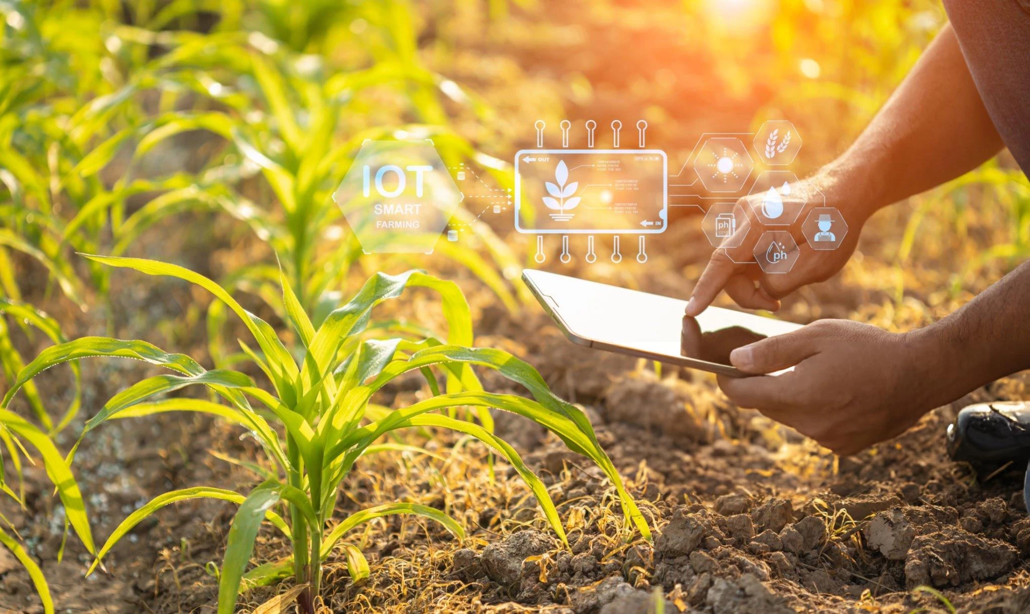 Agriculture